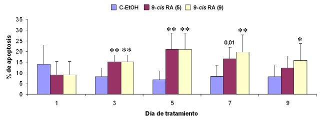 Figura 12. Efecto del tratamiento con 9-cis RA sobre el nivel de apoptosis en clulas IMR-32. Se representa el porcentaje de clulas apoptticas en cada da de tratamiento. (9) indica exposicin al 9-cis RA durante 9 das. (5) indica exposicin al 9-cis RA durante los 5 primeros das. Los valores que se muestran (media  desviacin tpica) se calcularon a partir de los resultados obtenidos tras la realizacin de 4 experimentos independientes realizados por duplicado. Los asteriscos indican diferencias significativas con respecto al control en cada da de tratamiento (*, p< 0,05; **, p< 0,01).